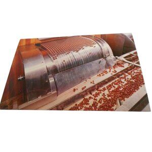Vtg Postcard unposted Hershey PA Kisses rolling off the assembly line 1960s